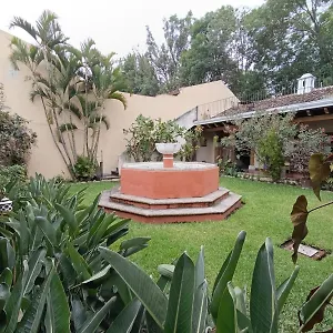 donde-lico.guatemalaantiguahotels.com/